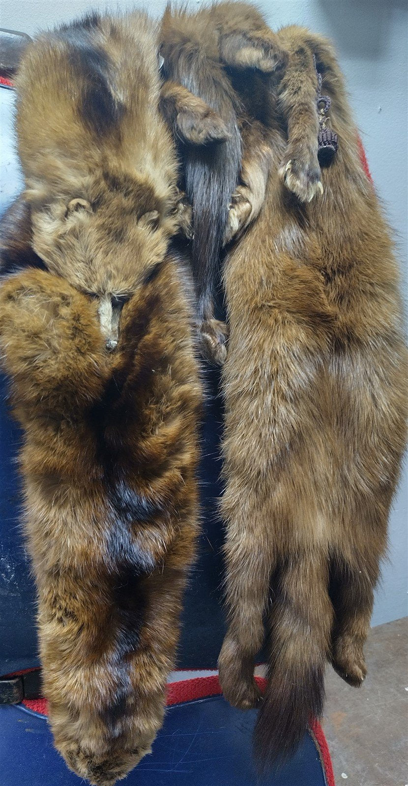 Vintage Brown Kaufmann Three Mink Real Fur Taxidermy Winter Scarf w/ Legs & Tail