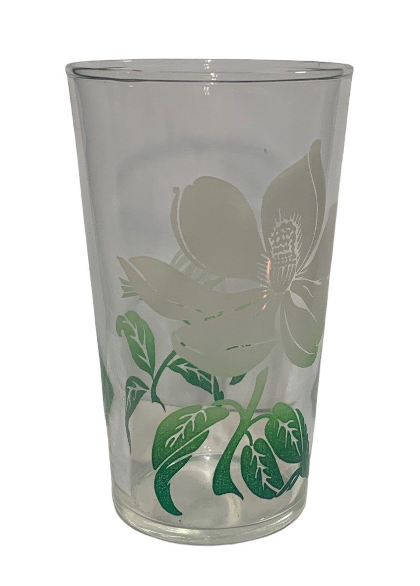 Vintage Green White Gradient Floral Foliage Bird 5pc Juice Swig Glass Set