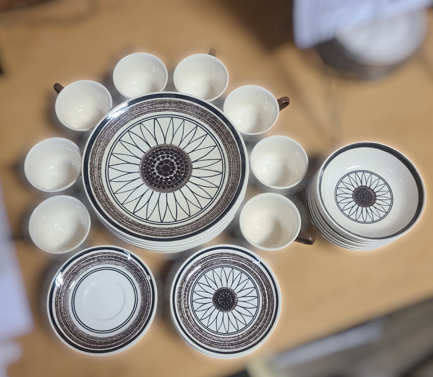 Vintage Dinnerware Set 40 Pcs Royal China Cavalier Ironstone Casa Del Sol USA