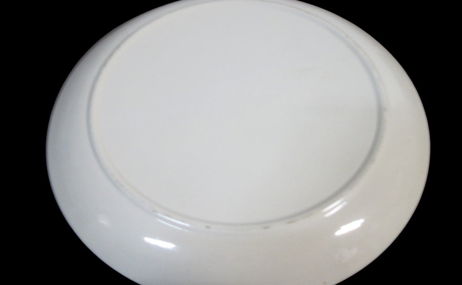 Vintage Antique Virginia Souvenir Dinner Plate with Landmarks