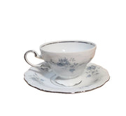 Vintage Johann Haviland Blue Garland Coffee Tea Serving Set 21 Pcs Germany