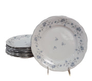 Vintage Johann Haviland Blue Garland Dinnerware Set 32 Pieces Plates Germany