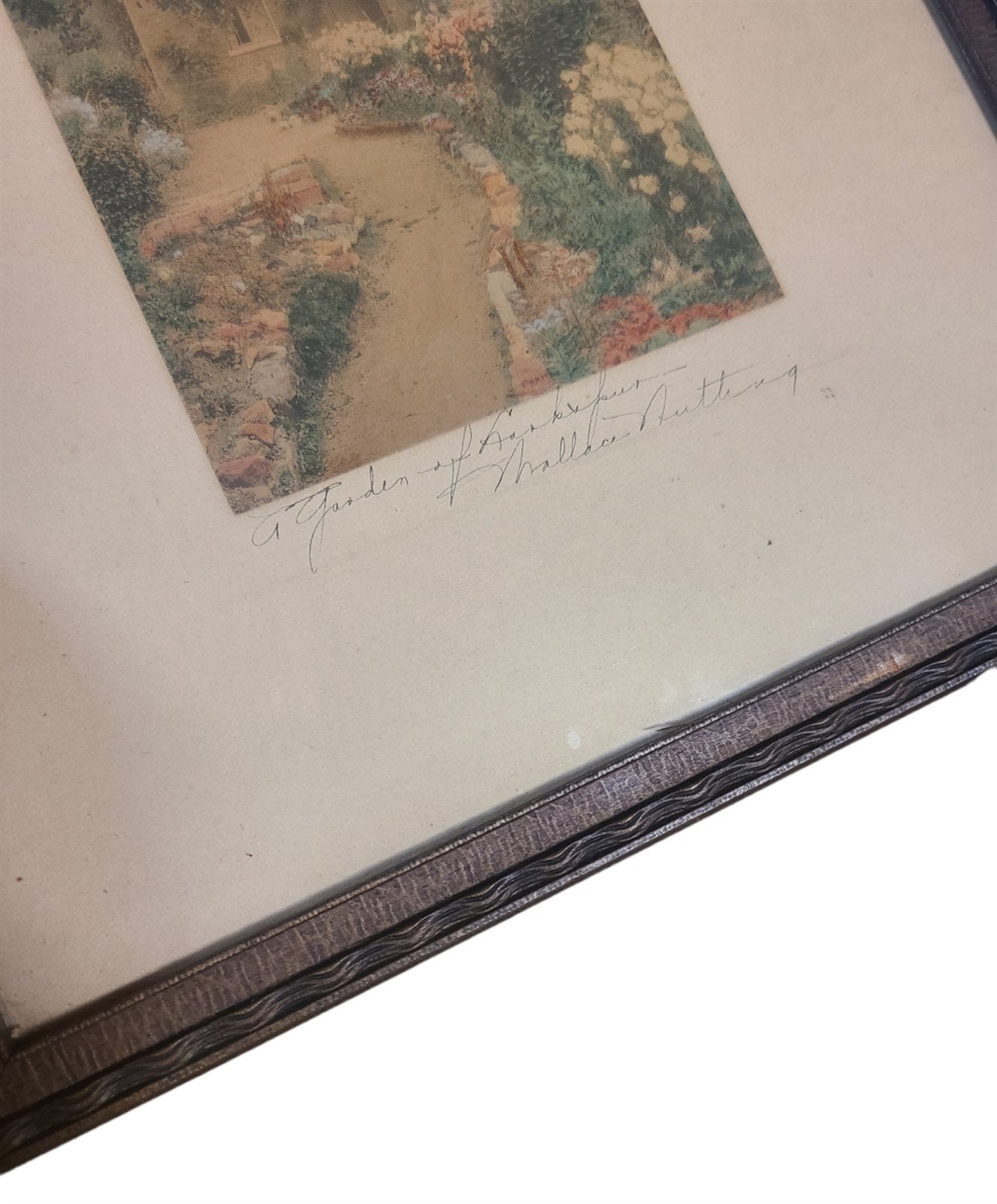 Vintage Signed Wallace Nutting Hand Tinted Watercolor Print Garden of Larkspur