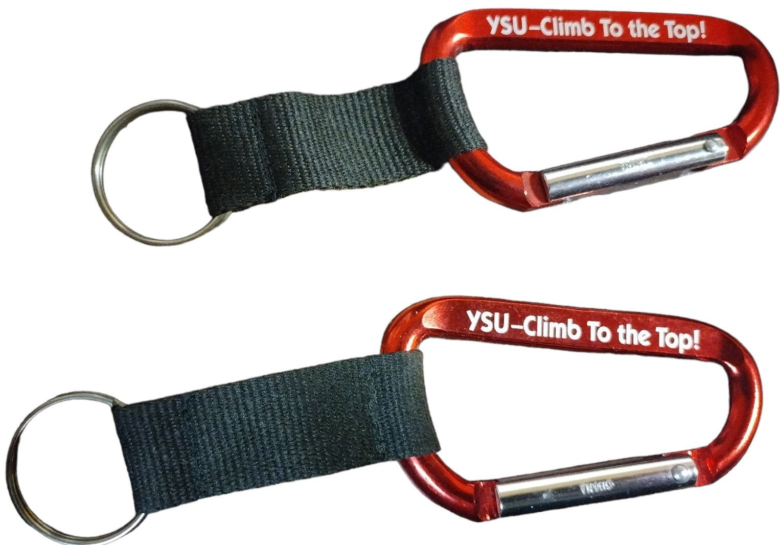 Vintage Youngstown State University 4 100 Years, Lordstown Pins Set, Keychains