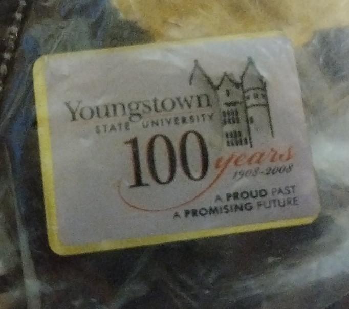 Vintage Youngstown State University 4 100 Years, Lordstown Pins Set, Keychains