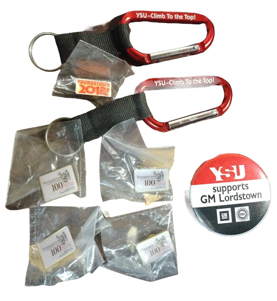 Vintage Youngstown State University 4 100 Years, Lordstown Pins Set, Keychains