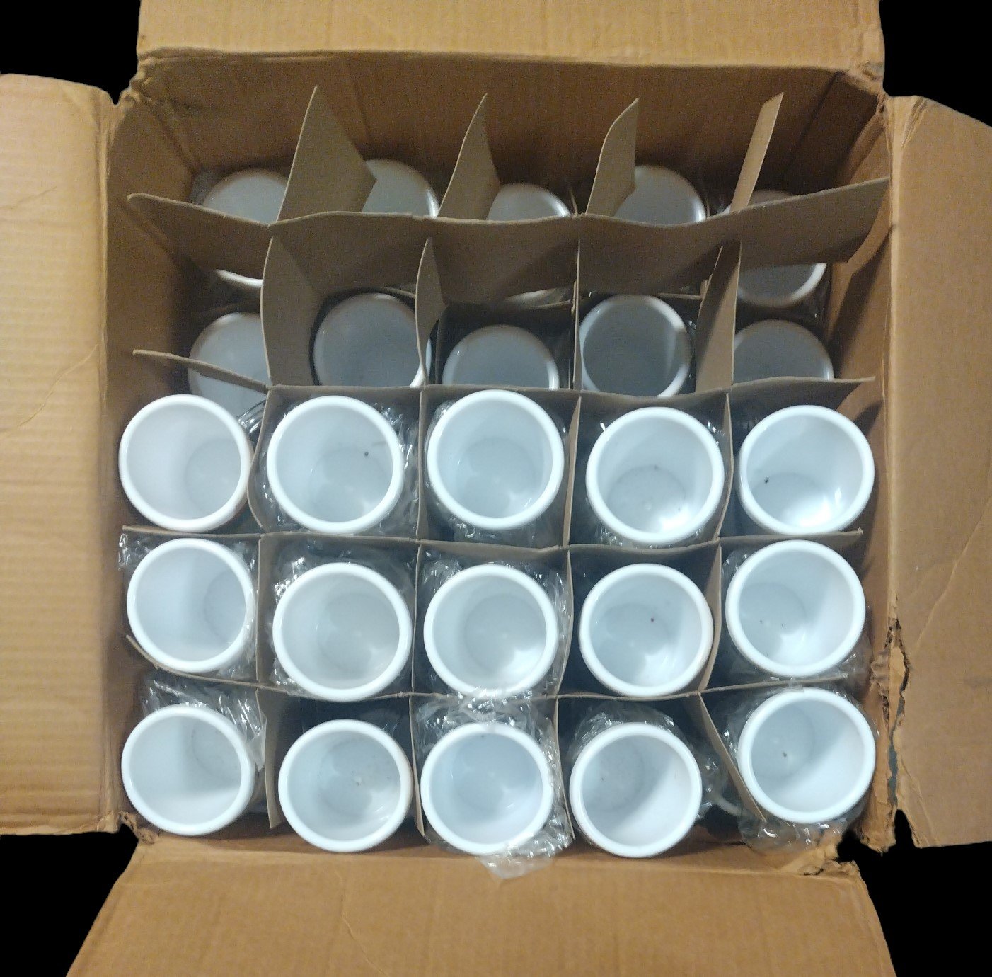 Vintage Set of 90 White Novelty Plastic Tumblr Photo Cups Mugs with Liners