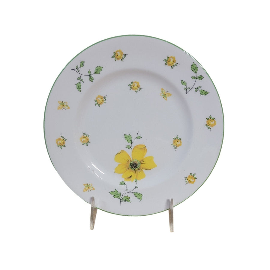 Vintage MCM Royal Victoria Fine Bone China Six Assorted Salad Plates - Set 1