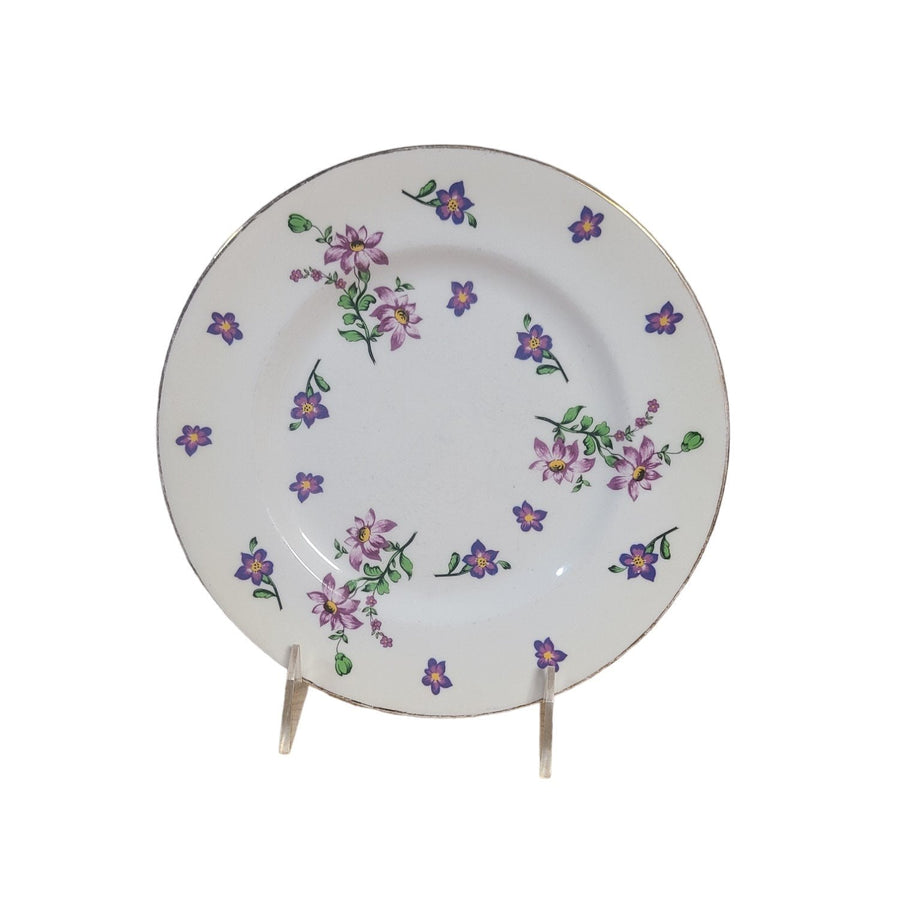 Vintage MCM Royal Victoria Fine Bone China Six Assorted Salad Plates - Set 1