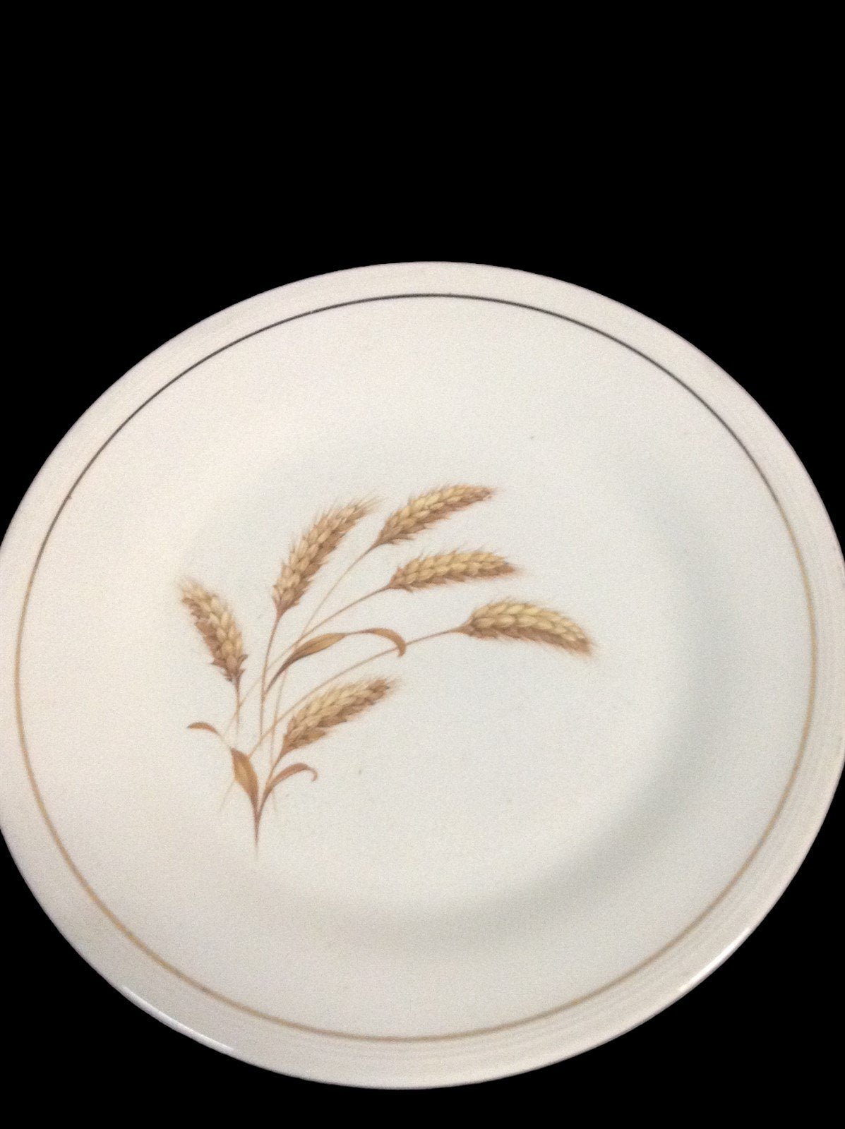 Edwin Knowles Vintage China Golden Wheat Dinner Plates (Set of 7)
