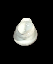 Genuine Vintage Porcelain China Gold Standard Serving Bowls Platters Gravy Boat