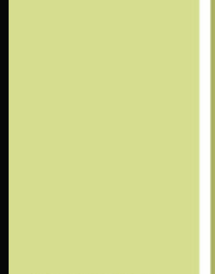 Linen and Yarn Queen Size Bed Spread Pastel lime green 107" x 92"