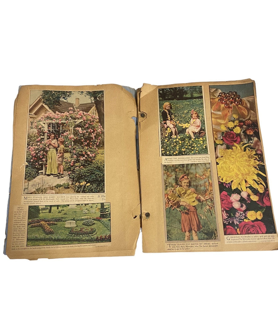 Antique Scrapbook c. 1930s, Color Newspaper Articles, Flowers, French Women