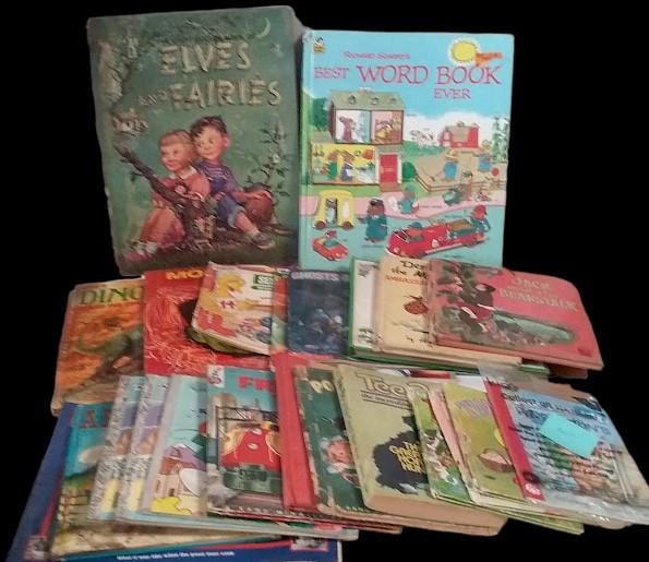 22 Children's Books Dinosaurs Elves Fairies Titanic Richard Scarry and More