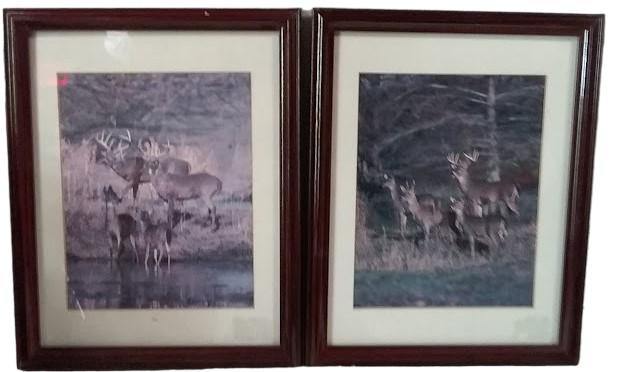 Amazing Framed Deer Photos (2) by Tom Brakefield 1988 Wildlife Lithographs