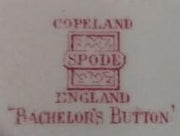 Bachelor's Button Saucer Vintage Copeland Spode England