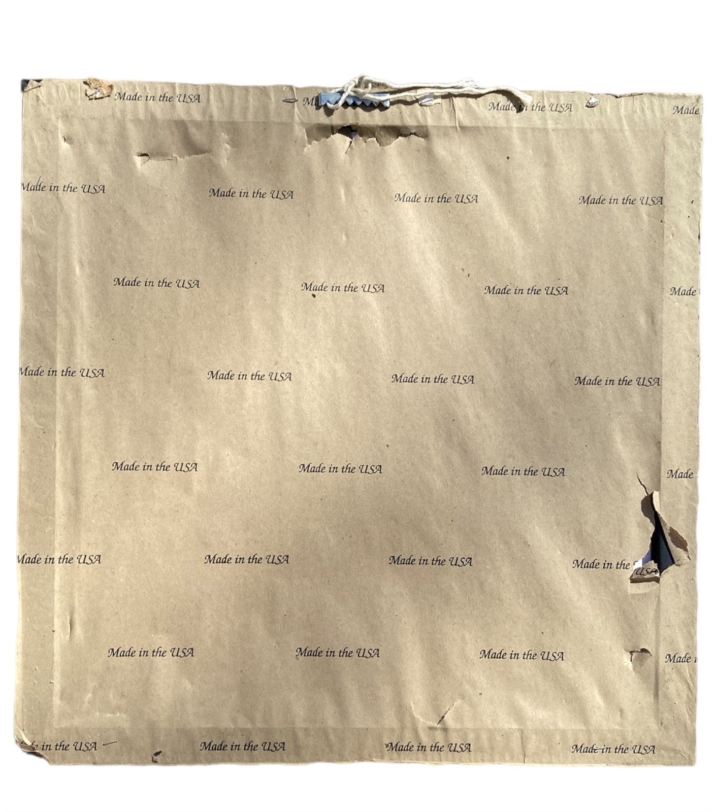 Tall Thin Trees with Red Trees Oil Painting Lithograph Framed