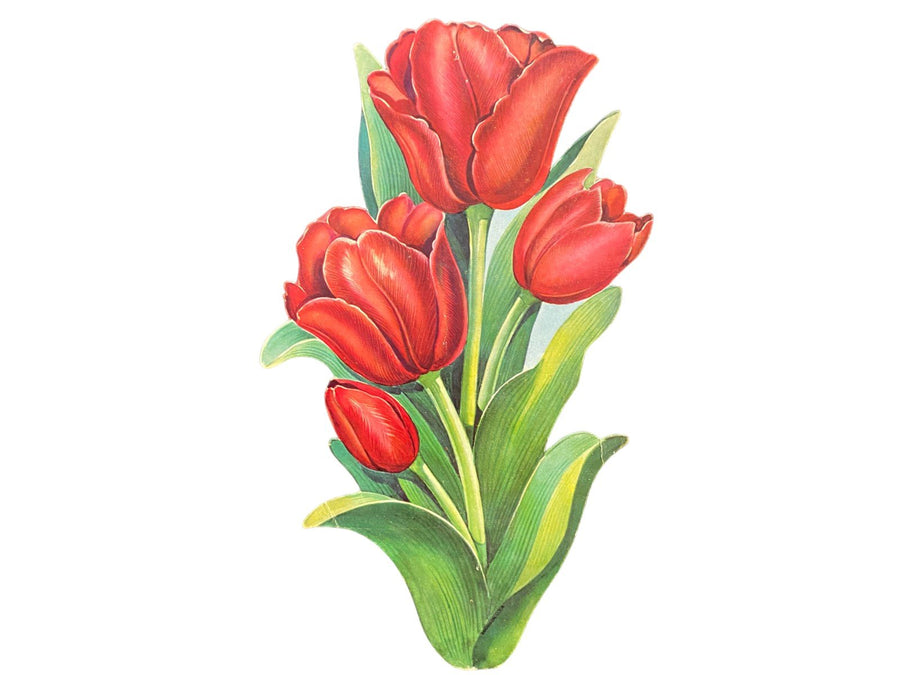 Spring Die Cut Posters Antique Squirrels Set of 2 Vintage Tulips Daffodils