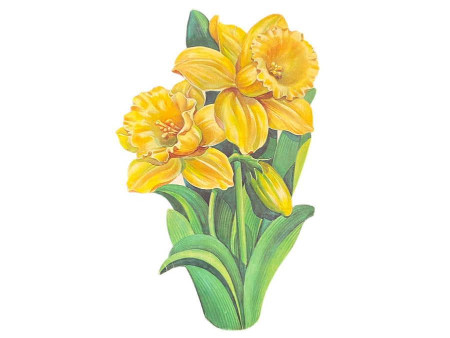 Spring Die Cut Posters Antique Squirrels Set of 2 Vintage Tulips Daffodils