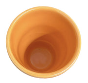 Fiesta - Tangerine Orange Bathroom Tumbler Homer Laughlin Ceramic Cup Home Decor