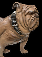 Mack Dog Cast Aluminum Cleveland Browns Dawgpound NFL Sign Decor