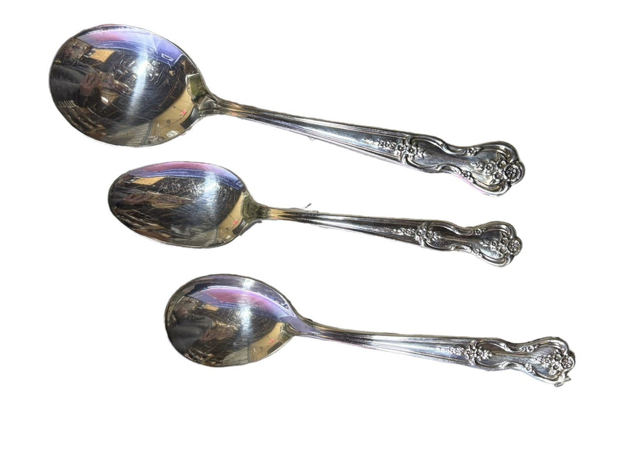 Flatware WM Rogers MFG Magnolia Inspiration Silverplate 49pc Wood Case
