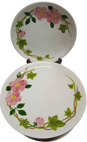 Mountain Rose Dishes Antique Hand Painted Under Glaze Vintage Japan 39 Pieces