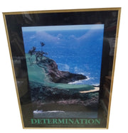 Determination Framed Motivational Poster Vintage Collectible Wall Art