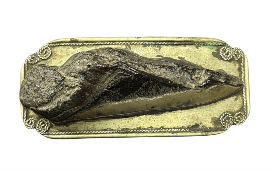 Belt Buckle P&JS8 Brass Fossil Tooth Rope Design Border Vintage