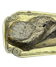 Belt Buckle P&JS8 Brass Fossil Tooth Rope Design Border Vintage