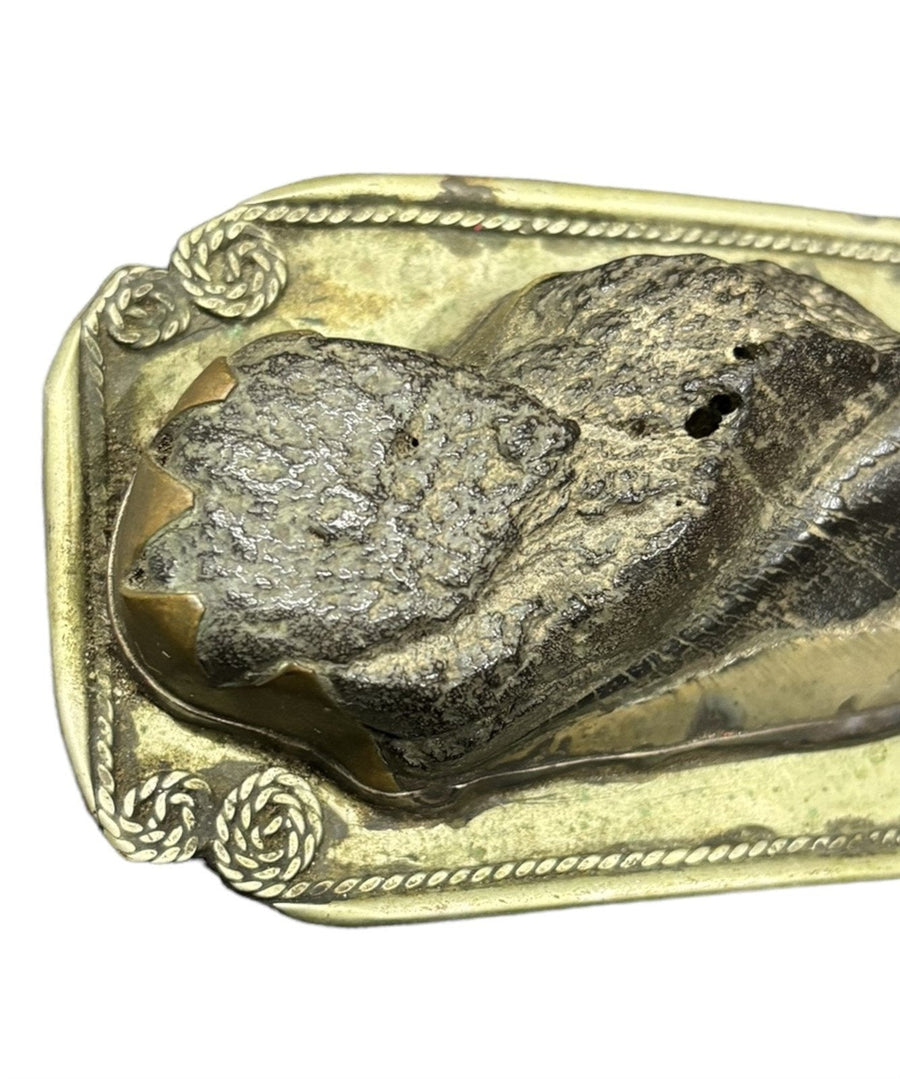 Belt Buckle P&JS8 Brass Fossil Tooth Rope Design Border Vintage