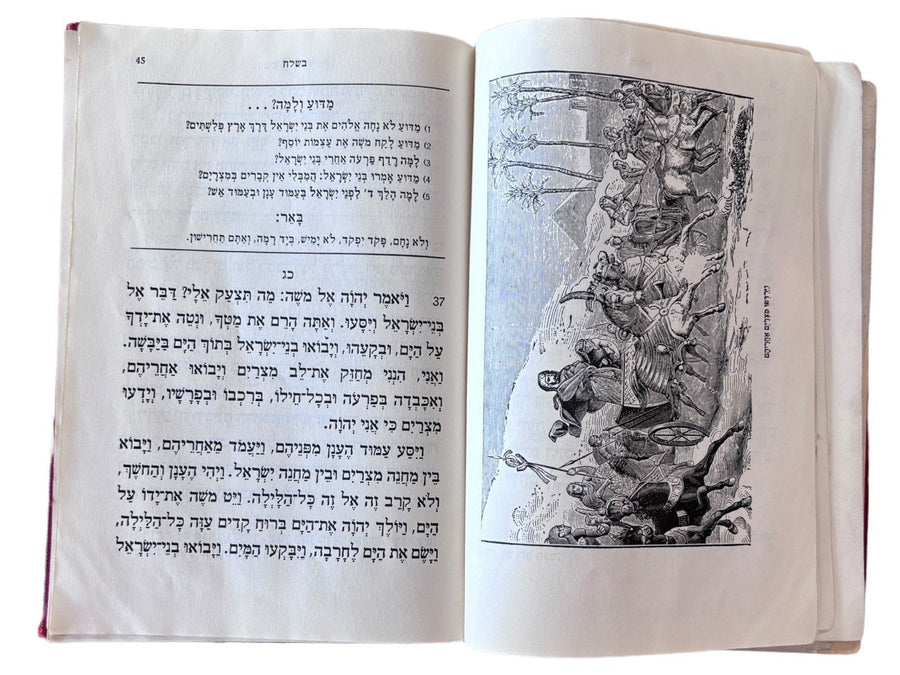 Hebrew Publishing Co. Book in Hebrew Printed in USA 1934 Antique