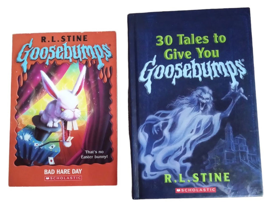 Goosebumps Books Set Of 2 Vintage Collectible Nostalgic Halloween Children's