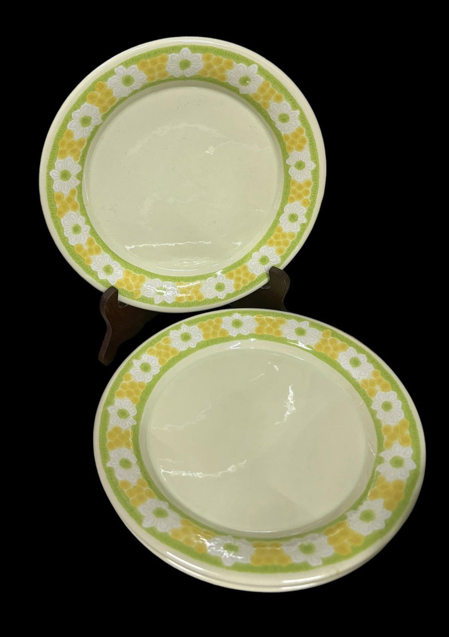 Franciscan Picnic Green Yellow Flowers Antique Earthenware Vintage 20 Pcs