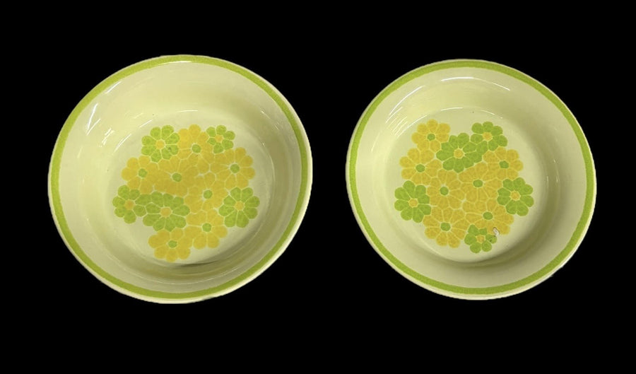 Franciscan Picnic Green Yellow Flowers Antique Earthenware Vintage 20 Pcs