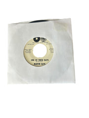 Marvin Gaye "One of These Days"/"Pride and Joy" Doubled Sided 7" Vinyl Record