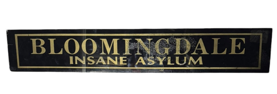 Bloomingdale Insane Asylum Antique Jalousie Glass Sign