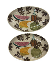 Red Wing Pottery USA Vintage Tampico Fruits Hand-Painted Dinnerware Set