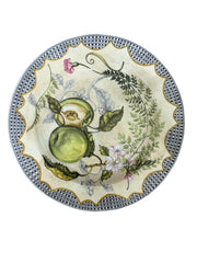 Tracy Porter Orchard Set Of Two Ceramic Dinner Plates Floral Plants Kitchenware