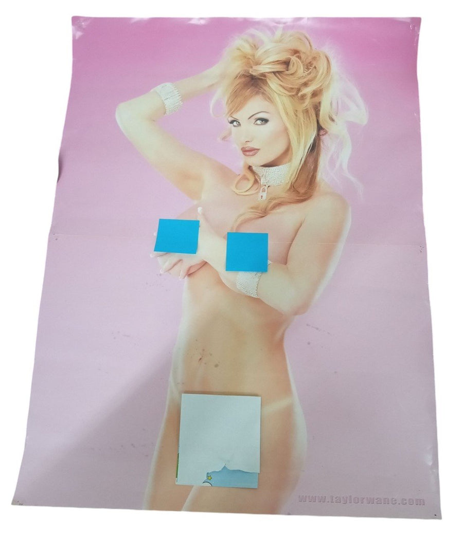 Taylor Wane Adult Entertainer Poster 24x18 Collectible Nostalgic Mancave Decor