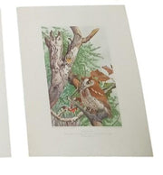 Bird Lithographs 9x12 Set Of 6 A.Hoen Vintage Collectible Nostalgic Avian