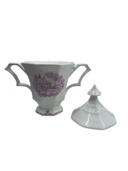Castleton Independence Ironstone China Carriage House Pattern Dinnerware Set