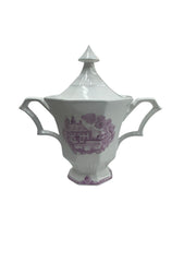 Castleton Independence Ironstone China Carriage House Pattern Dinnerware Set