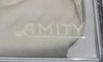 Amity Hand-Beaded Clutch Bag 1920s Fashion Accessory Antique Collectible