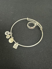 Vintage Alex and Ani Charity By Design Crown Charm Bangle Bracelet