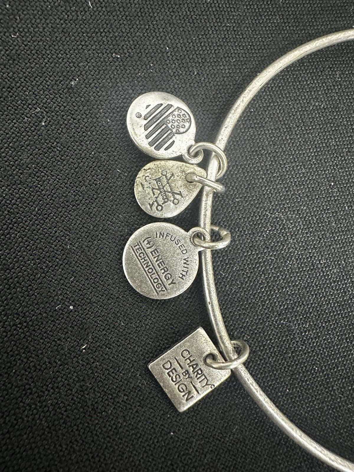 Vintage Alex and Ani Charity By Design Crown Charm Bangle Bracelet