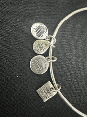 Vintage Alex and Ani Charity By Design Crown Charm Bangle Bracelet
