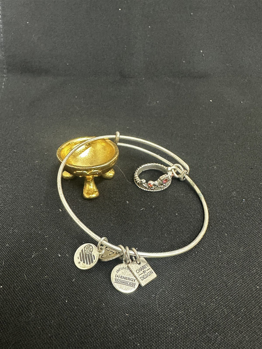 Vintage Alex and Ani Charity By Design Crown Charm Bangle Bracelet