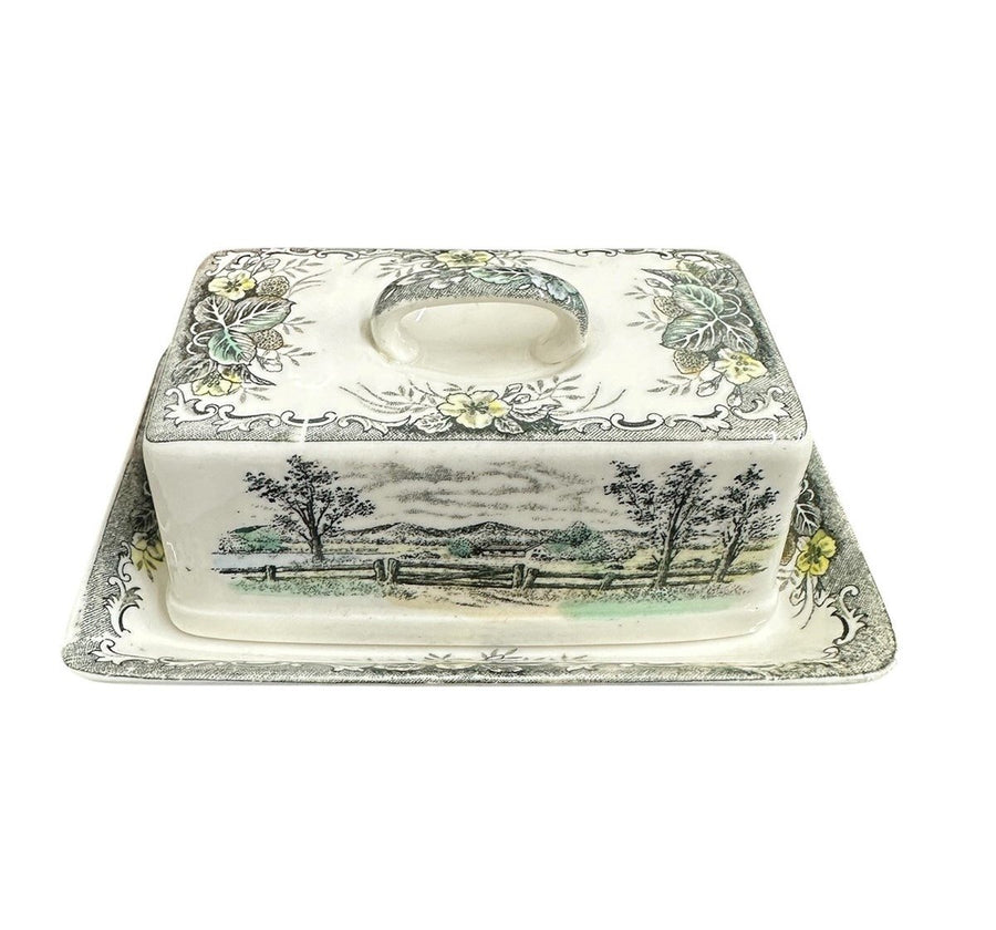 Transferware "Rural Scenery" Covered Rectangular Butter Dish