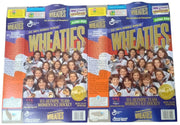 Wheaties Boxes 1998 Olympics Women's Ice Hockey Flat Sports Hockey Collectible